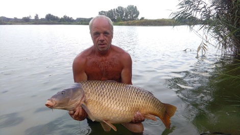 Kapr obecný, 110 cm, 25 kg