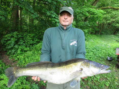 Candát obecný, 96 cm, 8.85 kg