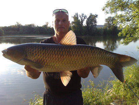 Amur bílý, 103 cm, 10.5 kg