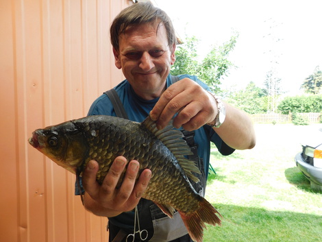 Karas stříbřitý, 41.5 cm, 1.42 kg