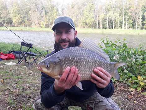 Karas stříbřitý, 50 cm, 2.9 kg