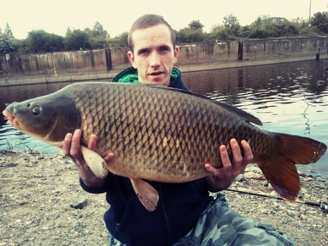 Kapr obecný, 97 cm