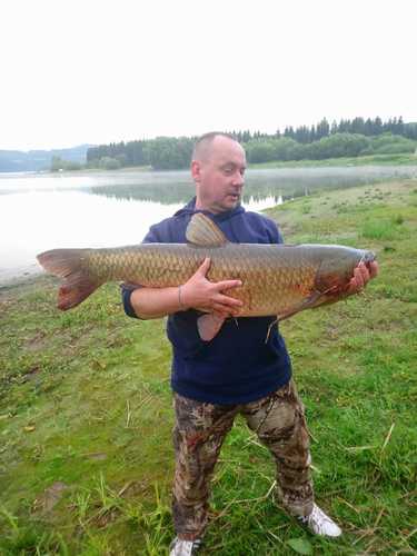 Amur bílý, 98 cm, 14 kg