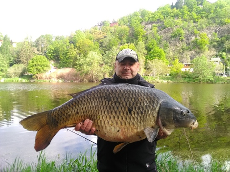 Kapr obecný, 98 cm, 18.5 kg