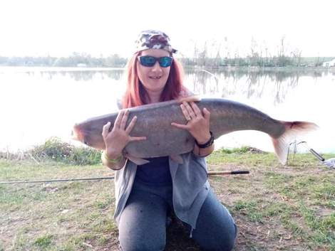 Tolstolobik bílý, 98 cm, 20 kg