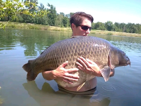 Kapr obecný, 97 cm, 32 kg