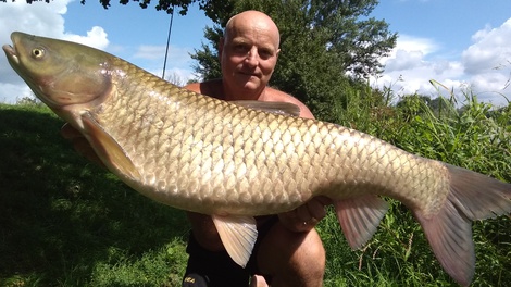 Amur bílý, 103 cm, 12 kg