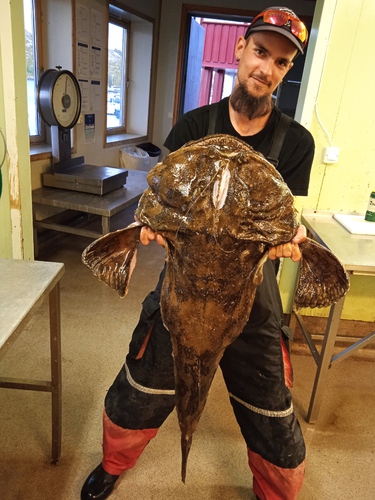 Mořský ďas, 95 cm, 21 kg