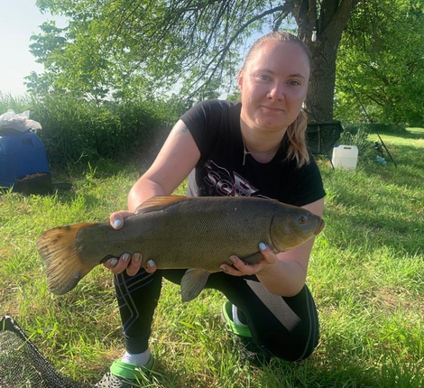 Lín obecný, 55 cm, 3 kg