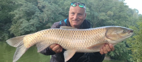 Amur bílý, 82 cm, 8 kg