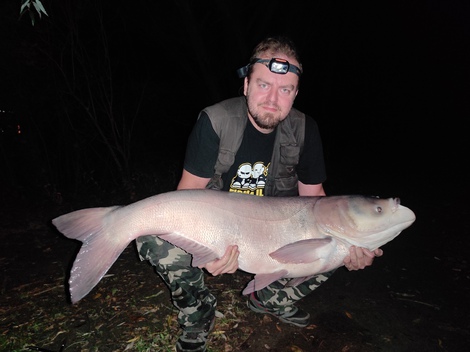Tolstolobik bílý, 123 cm, 35 kg