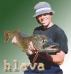 hlava