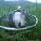 pichy