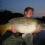 BIGCARP