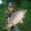 Fischi87