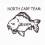 northcarpteam