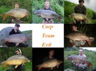 Carp team Exil