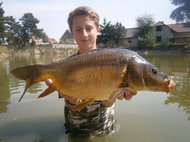 CleverCarp Černý