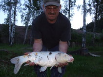 img132025.jpg