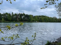 img134767.jpg